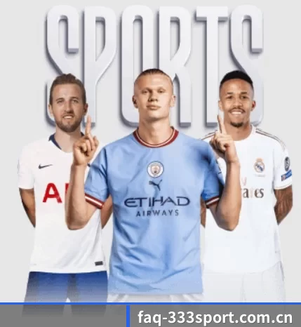 faq-333sport.com.cn五大内容板块,覆盖赛事直播与实时比分