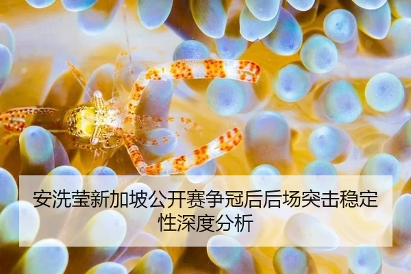 安洗莹新加坡公开赛争冠后后场突击稳定性深度分析